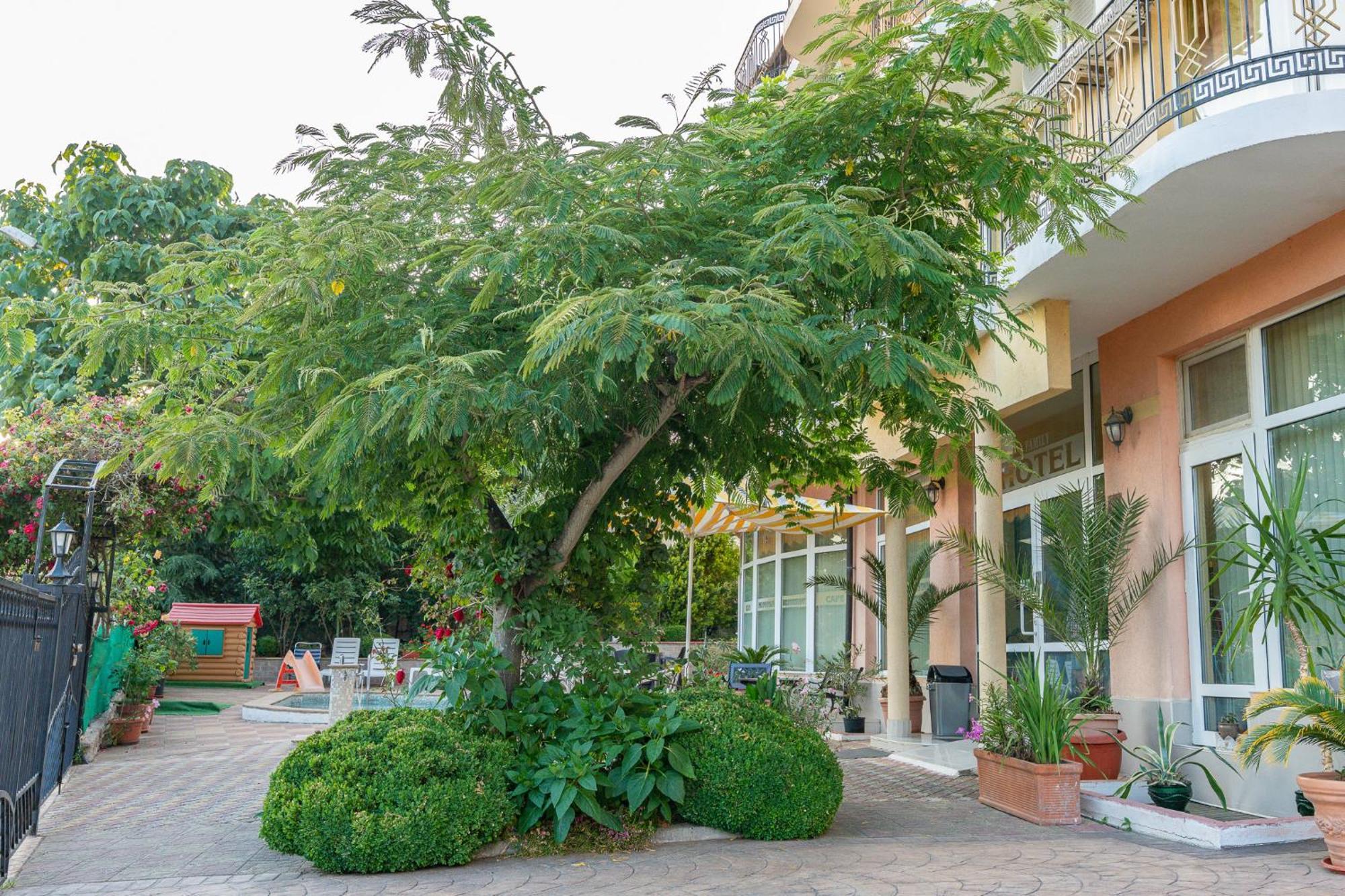 Family Hotel Mimosa Țarevo Exterior foto